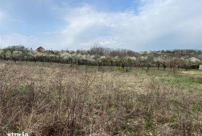 Teren de 600 mp, în Iorga - 2