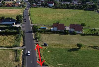 Teren agricol intravilan de 9900 mp, în Tohanu Nou - 4