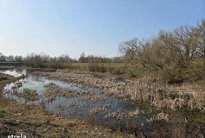 Teren de 30600 mp, în Sacoșu Turcesc - 6