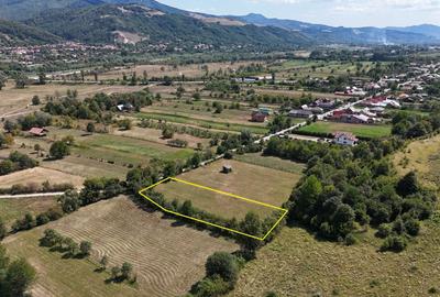 Teren Construcții extravilan de 2230 mp, în Dărmăneasca - 3