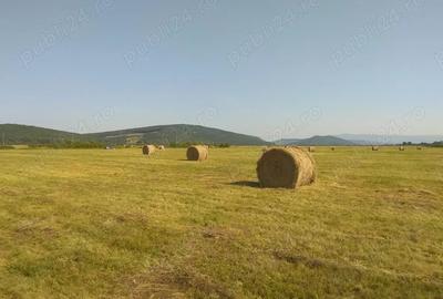 Teren de 5800 mp, în Suseni - 1