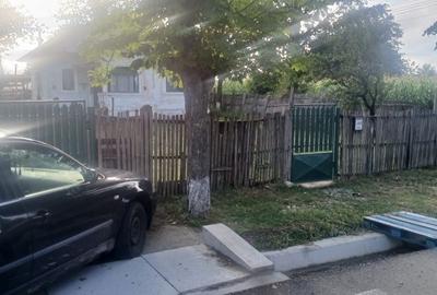 Casă cu 3 camere în Vedea