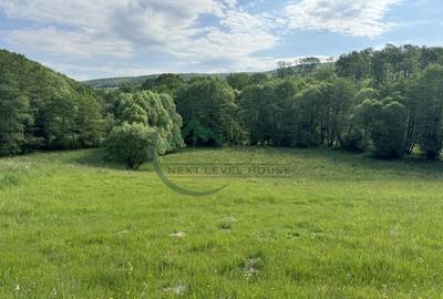 Teren Construcții extravilan de 2900 mp, în Lisnău-Vale - 3