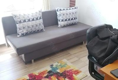 Casă cu 3 camere cu Teren 4434 Mp în Geaca - 5