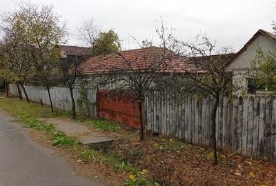 Casă cu Teren 2500 Mp în Vadu Pașii