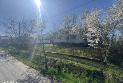 Casă cu 3 camere cu Teren 4500 Mp în Băița