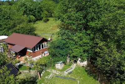 Casă individuală cu 4 camere cu Teren 3765 Mp în Mihăești - 10