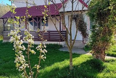 Casă individuală cu 5 camere cu Teren 1280 Mp în Central - 1