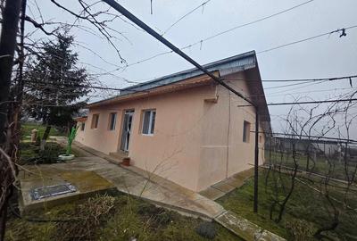 Casă cu 2 camere cu Teren 1000 Mp în Central - 2