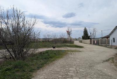 Teren de 9500 mp, în Central - 3