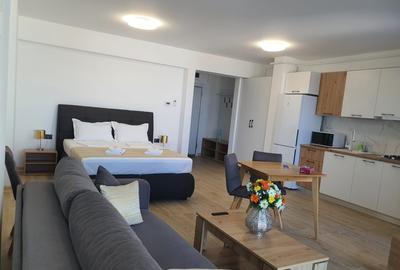 Apartament cu 2 camere decomandat, mobilat în Nord - 11