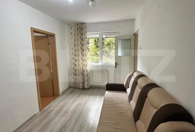 Apartament cu 2 camere semidecomandat, mobilat în Șagului - 2
