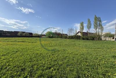 Teren Construcții intravilan de 9414 mp, în Băcel - 3