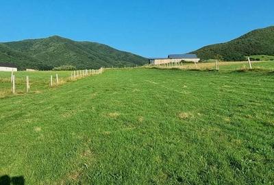 Teren de 5000 mp, în Gura Râului - 3