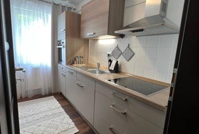 Apartament cu 3 camere semidecomandat, mobilat în Podu Roș - 6