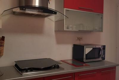 Casă cu 1 camere decomandat în Viile Noi - 2
