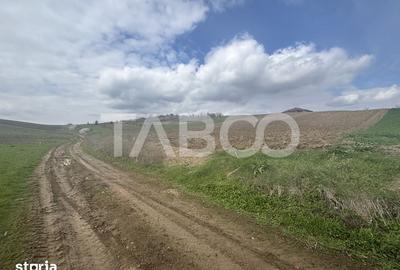 Teren de 4650 mp, în Șura Mare