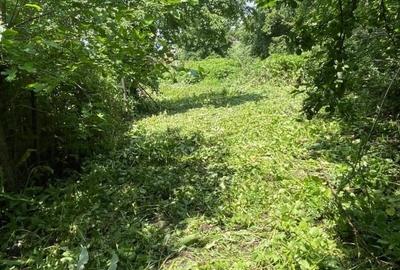 Teren Construcții intravilan de 1000 mp, în Frumușani - 2