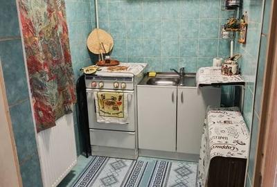 Garsonieră semidecomandată în Craiovița Nouă - 5
