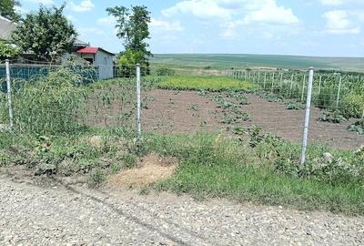 Teren de 2950 mp, în Unțeni