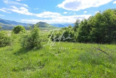 Teren agricol extravilan de 5967 mp, în Tălmaciu - 6