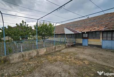 Casă cu 2 camere cu Teren 1500 Mp în Urzica