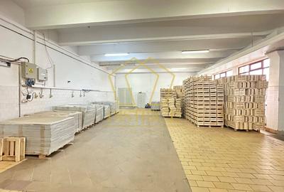 Spațiu industrial, de 1,447 mp, în Freidorf - 2