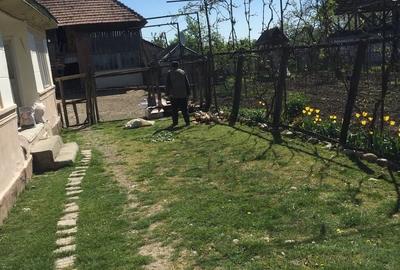 Casă cu 3 camere în Odobești