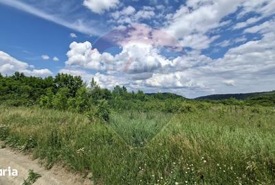 Teren de 2400 mp, în Șelimbăr