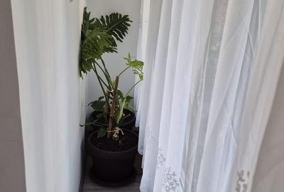 Apartament cu 2 camere în Rogerius