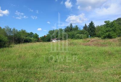 Teren Construcții intravilan de 3673 mp, în Fântânele - 1