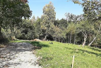 Teren de 1000 mp, în Bran - 4