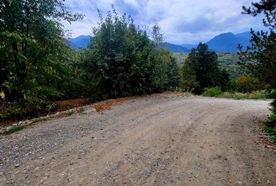 Teren de 2400 mp, în Borșa