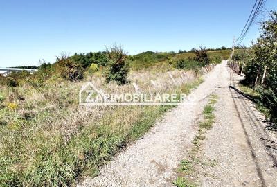 Teren Construcții intravilan de 16476 mp, în Corunca - 5