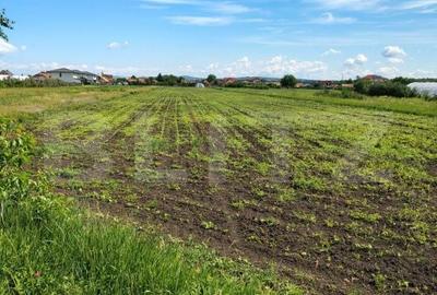 Teren de 4300 mp, în Jucu
