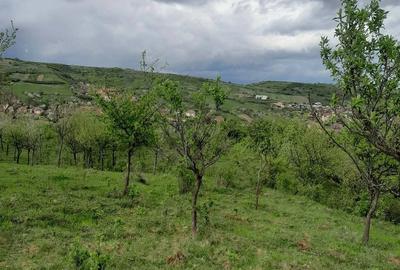 Teren de 5800 mp, în Central