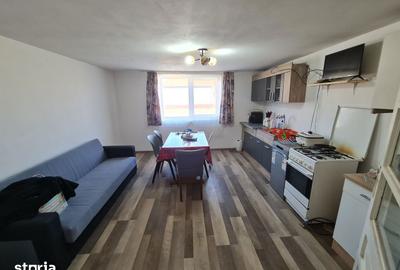 Casă cu 2 camere decomandat cu Teren 1230 Mp în Bocsig - 4
