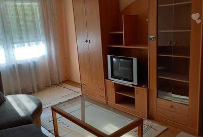 Apartament cu 2 camere decomandat în Rudicica