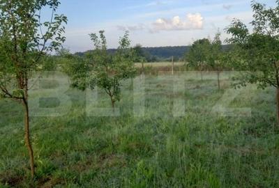 Teren de 4447 mp, în Pielești - 4