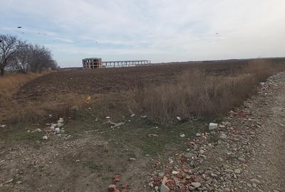 Teren agricol intravilan de 4.5 mp, în Brăilei - 21