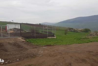 Teren de 1000 mp, în Baciu - 3