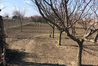 Casă cu 3 camere în Dorobanți
