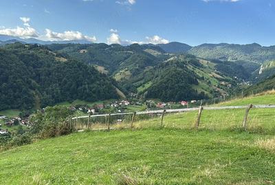 Teren de 4000 mp, în Rucăr