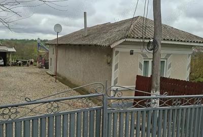 Casă cu 6 camere cu Teren 1900 Mp în Mihai Bravu - 3