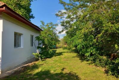Casă cu 3 camere în Clănița