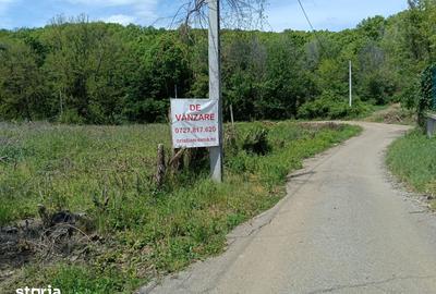 Teren de 1807 mp, în Cocorăștii Mislii - 3