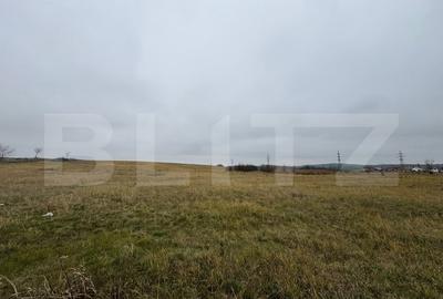 Teren Construcții intravilan de 4416 mp, în Orăștie