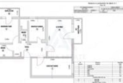 Apartament cu 3 camere decomandat, mobilat în Turnișor - 13