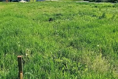 Teren de 1000 mp, în Căianu - 2
