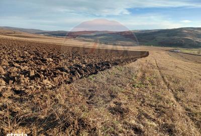 Teren de 7200 mp, în Secuieni